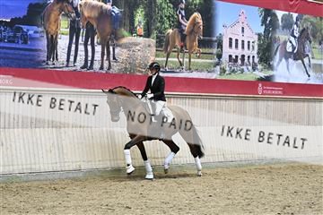 182241_kbb_01_Z095286.JPG