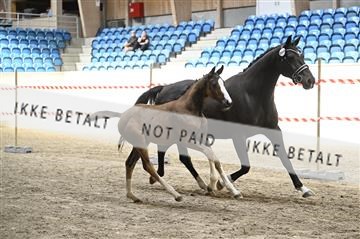 181754_kbb_01_Z093963.JPG