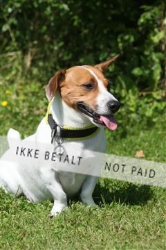 130370_se_02_IMG_6162.JPG