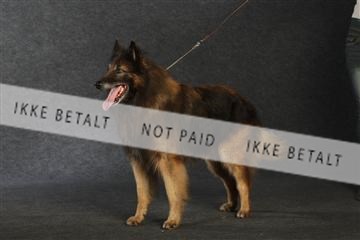 132082_le_ 01_IMG_0953.JPG