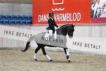182241_kbb_01_Z094558.JPG