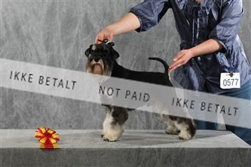 128239_le_kort_ 01_0391.JPG