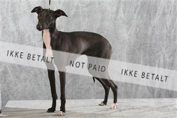 129608_le_ 02_0416.JPG