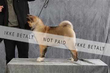 128239_le_ 06_0043.JPG