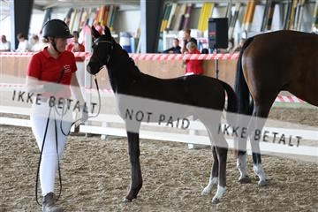 181756_mtp_03_R62_2369.JPG