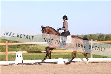 181449_bc_01R62_6485.JPG