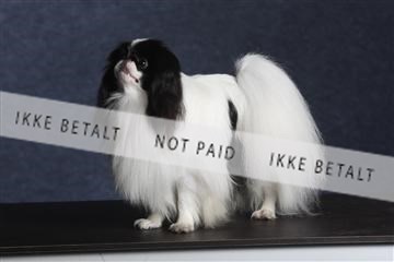 132082_le_ 01_IMG_0685.JPG