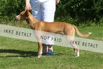 130370_se_03_IMG_6866.JPG