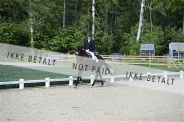 139898_ms_02__MS28728.JPG