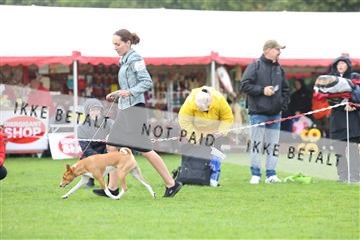 182009_rin_02_R62_2810.JPG
