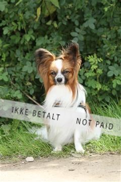 130370_se_01_IMG_5310.JPG