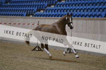139327_abo_01__AB10170.JPG