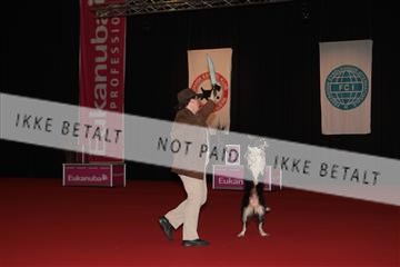 126827_tl_02_IMG_2791.JPG