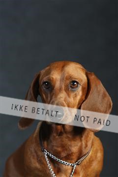 132082_le_ 01_IMG_0309.JPG