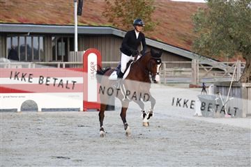 181922_avh_05_2546.JPG