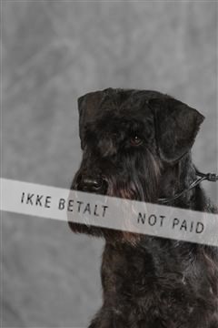 130054_le_ 03_0274.JPG