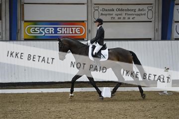 140040_abo_02__AB18845.JPG