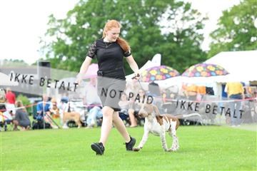 181564_rin_01_R62_8017.JPG