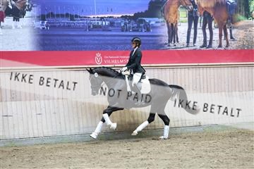 181887_mtp_04_R62_9331.JPG