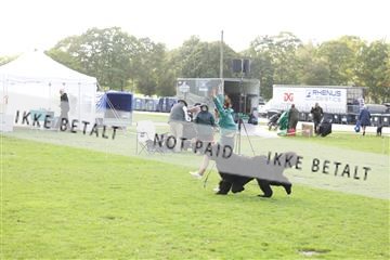 182009_kar_01__62_8084.JPG