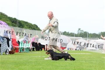 181564_rin_02_R62_1306.JPG
