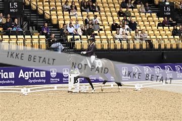 182194_kbb_03_Z090538.JPG