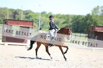 168732_mtp_01_3M5A6837.JPG