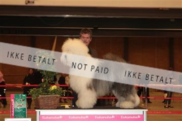 124188 _tl_02_IMG_9306.JPG