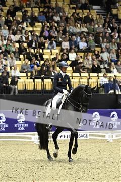 182194_kbb_03_Z092564.JPG