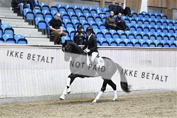 182241_kbb_01_Z094457.JPG