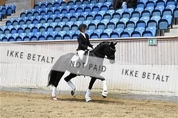 182241_kbb_01_Z093063.JPG
