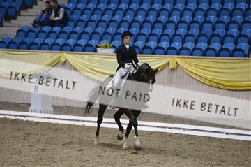 139403_ms_01__MS18610.JPG