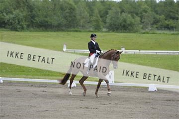 140040_abo_01__AB17430.JPG