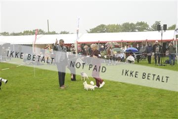 182009_kar_01__62_5823.JPG