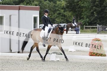 166078_rhj_01__J7R3370.JPG