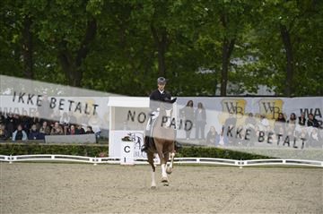 181449_kbb_04_Z095036.JPG