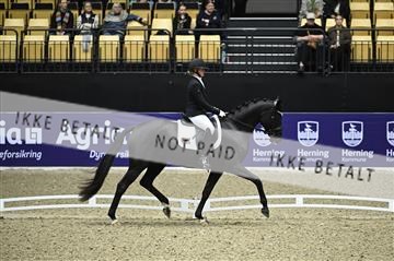 182194_kbb_01_Z096337.JPG