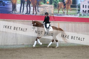 181887_mtp_02_R62_7347.JPG