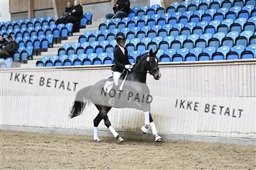 182241_kbb_01_Z094561.JPG