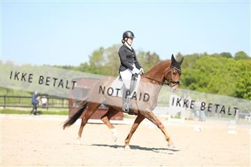 168732_mtp_01_3M5A8158.JPG