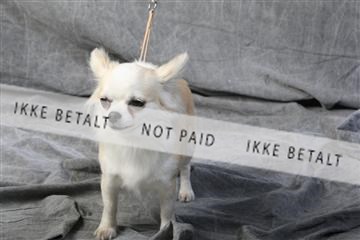 129608_le_ 01_0582.JPG