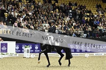 182194_kbb_03_Z092086.JPG