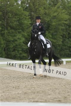 139835_sg_02_IMG_8910.JPG