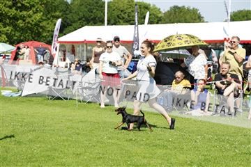 181564_kar_01__62_7880.JPG