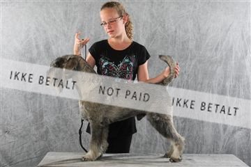 129608_le_ 02_0389.JPG