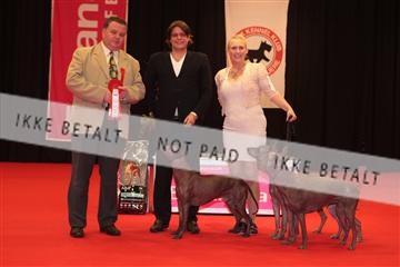126827_tl_04_IMG_9843.JPG