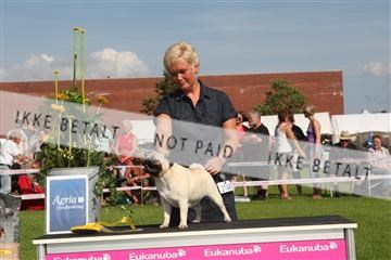 130370_se_03_IMG_7819.JPG