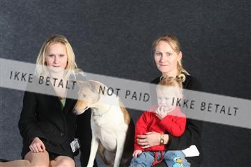 132082_le_ 01_IMG_1419.JPG