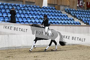 182241_kbb_01_Z094028.JPG