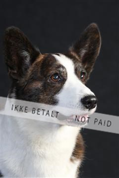 132082_le_ 01_IMG_0611.JPG